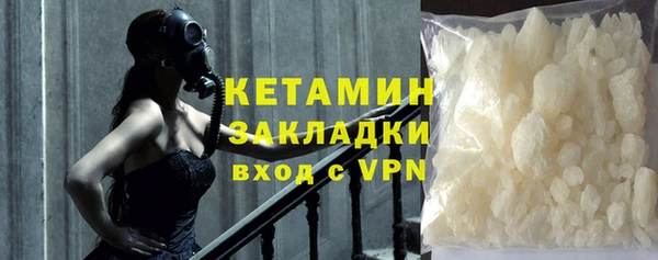 прущие грибы Дмитриев