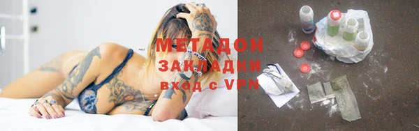 прущие грибы Дмитриев