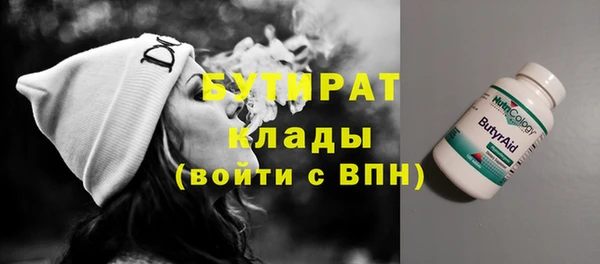 прущие грибы Дмитриев