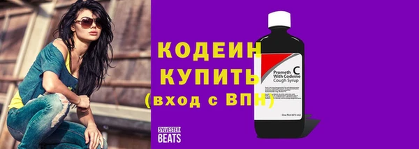 прущие грибы Дмитриев