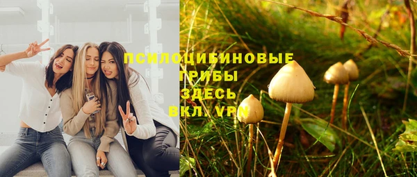 прущие грибы Дмитриев