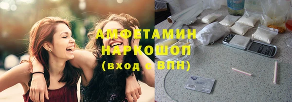 прущие грибы Дмитриев