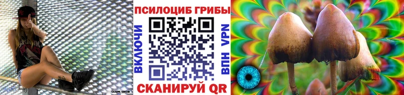 где можно купить наркотик  Ивантеевка  Галлюциногенные грибы GOLDEN TEACHER 